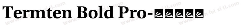 Termten Bold Pro字体转换